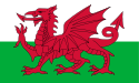 Wales Flagge